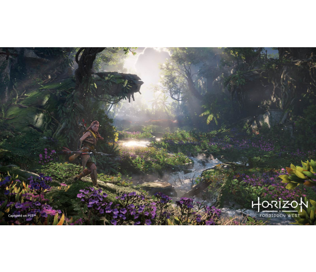 Guerilla Games Horizon Forbidden West PS4 - 1464199 - zdjęcie 9